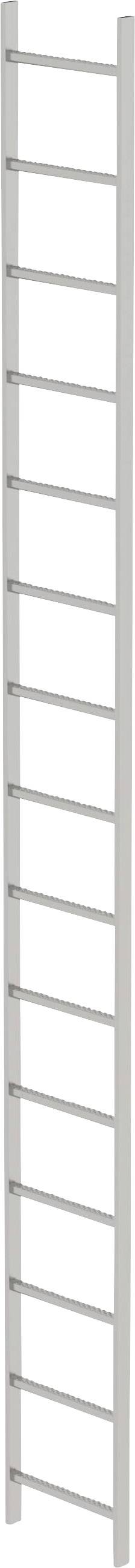 Un'immagine di una scala metallica stretta e verticale con diversi gradini.