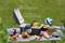 Picnic su un prato: frigo con coperchio aperto, cibo e bevande su una coperta, pallavolo sullo sfondo. Testo: 'Raffreddamento fino a -20°, mantenimento del calore fino a +65°'.
