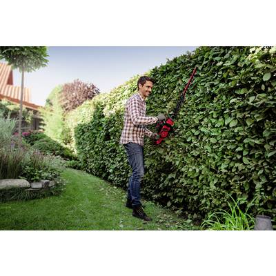 Uomo che taglia una siepe con un tagliasiepi elettrico in giardino. Indossa una camicia a quadri e jeans, circondato da piante e una casa.