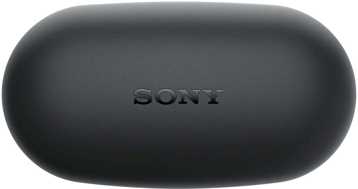 Custodia nera, ovale, con scritto 'SONY' in lettere grigie sulla parte superiore.