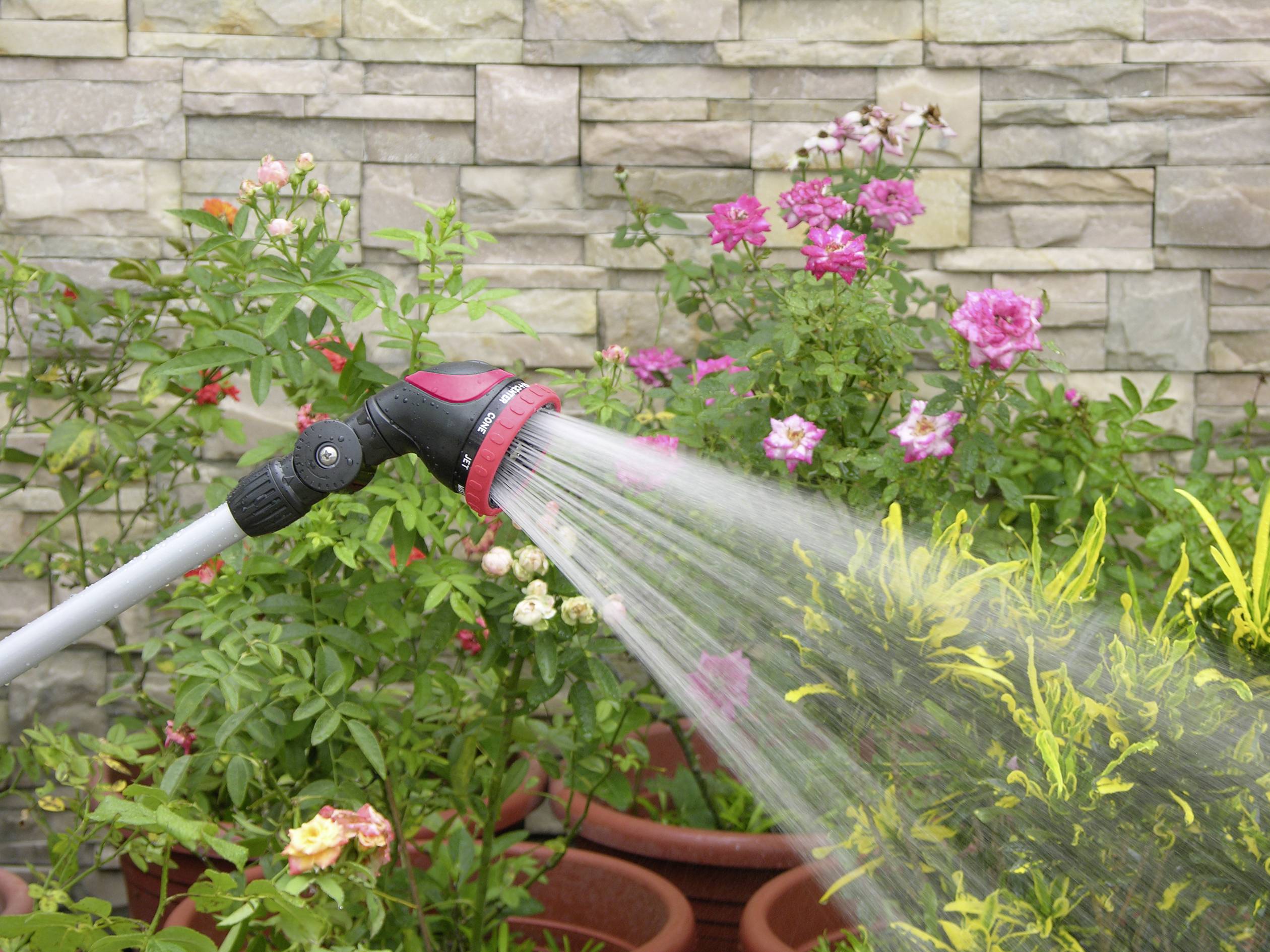 Vista di un giardino con fiori colorati in vasi. Un tubo dell'acqua spruzza acqua su una pianta in primo piano.