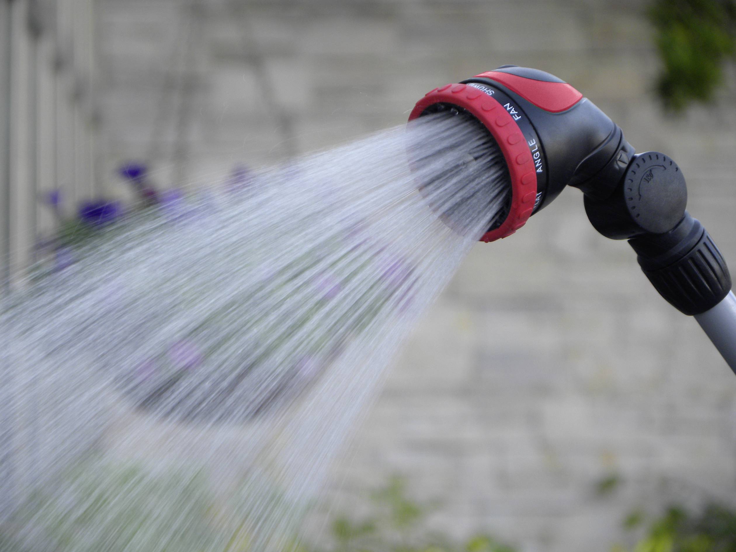 Un tubo da giardino spruzza acqua in un sottile getto da un ugello rosso-nero in un giardino.