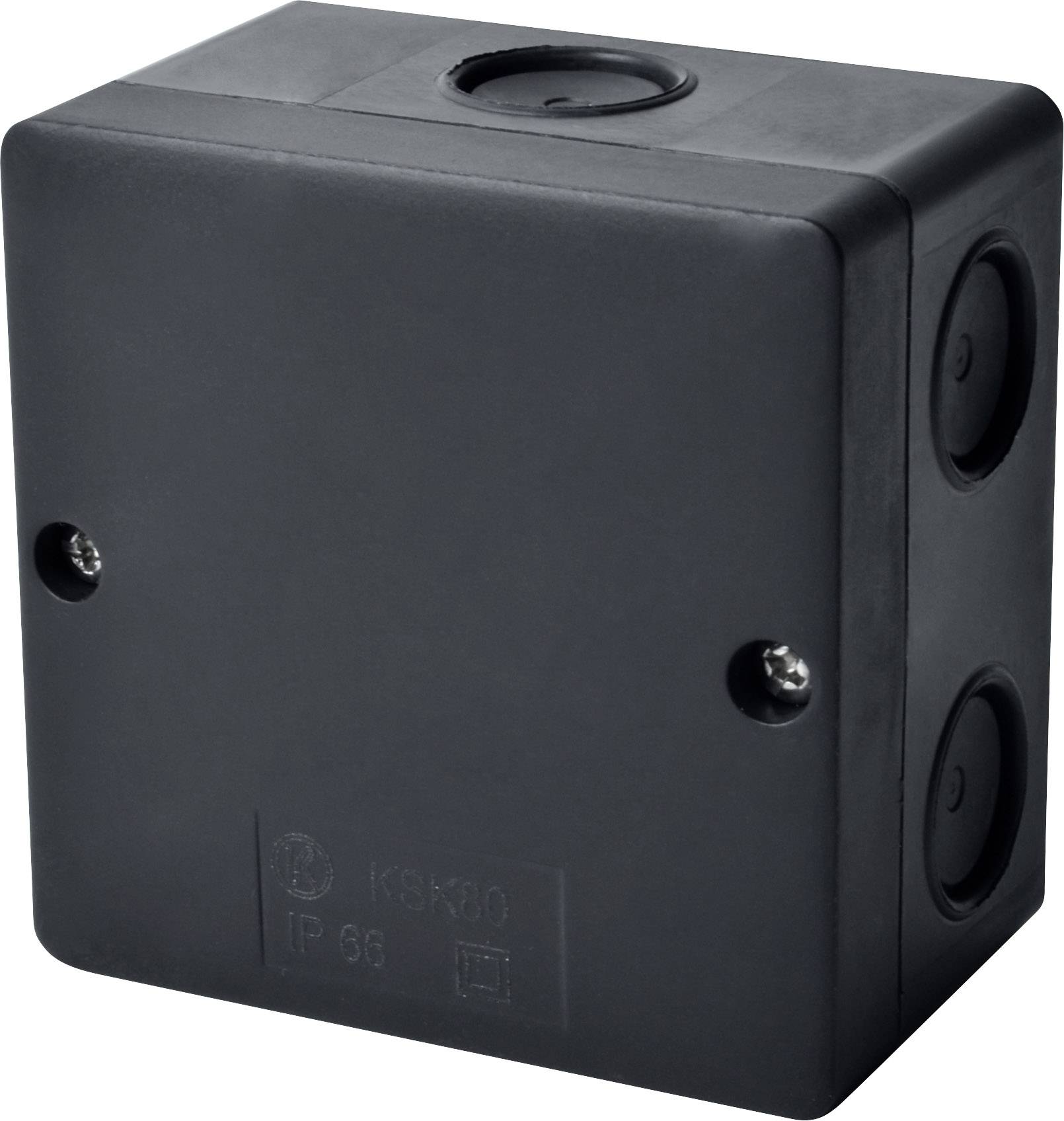 Presa elettrica nera con superficie liscia e fissaggi a vite, idonea per connessioni di cavi.