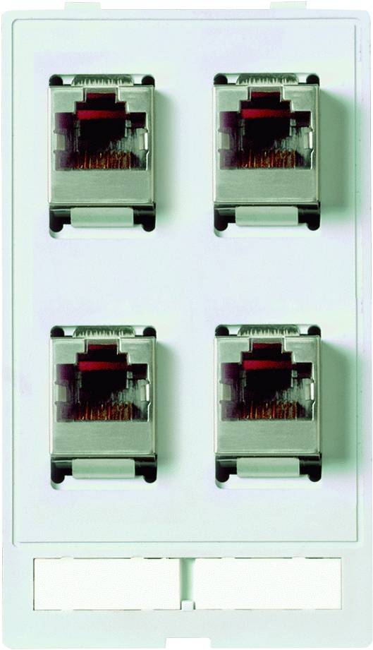 Quattro porte Ethernet in una piastra rettangolare da parete, disposte su due file. Ideale per connessioni di rete.