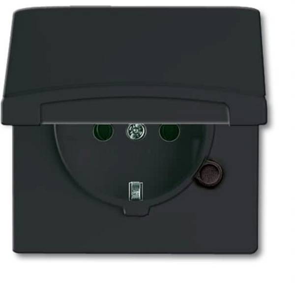 ABB 2CKA002064A0290  Inserto   IP44 Nero - Grigio, Antracite