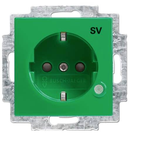 Presa verde con foro di messa a terra e due aperture di contatto, montata su una piastra metallica, contrassegnata con 'SV'.