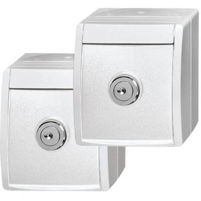 Due prese elettriche bianche con sportelli chiudibili, adatte per l'esterno. Hanno un design liscio e moderno.