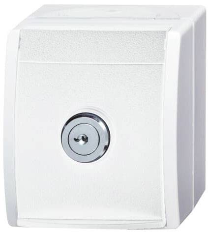 Un interruttore a chiave bianco, rettangolare, con un foro chiave rotondo al centro. Adatto per il controllo di dispositivi elettrici.