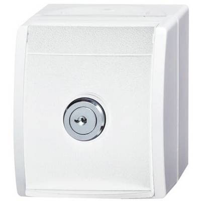 Un interruttore a chiave bianco, rettangolare, con un foro chiave rotondo al centro. Adatto per il controllo di dispositivi elettrici.
