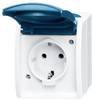 ABB 2CKA002083A0818 presa contatto di terra IP44 Grigio (RAL 7035), Blu-Verde
