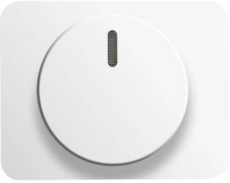 Un bottone rotondo bianco su una piastra rettangolare, probabilmente un regolatore di temperatura o volume, in un ambiente neutro.