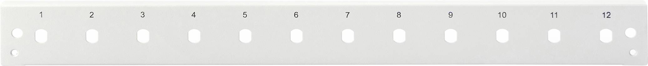 Digitus DN-96204-QL Pannello frontale patch box 12 Porte Non classificata 1 U-1