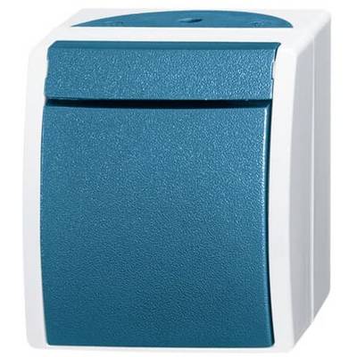 Un interruttore a parete blu con design rettangolare e bombato su sfondo bianco.