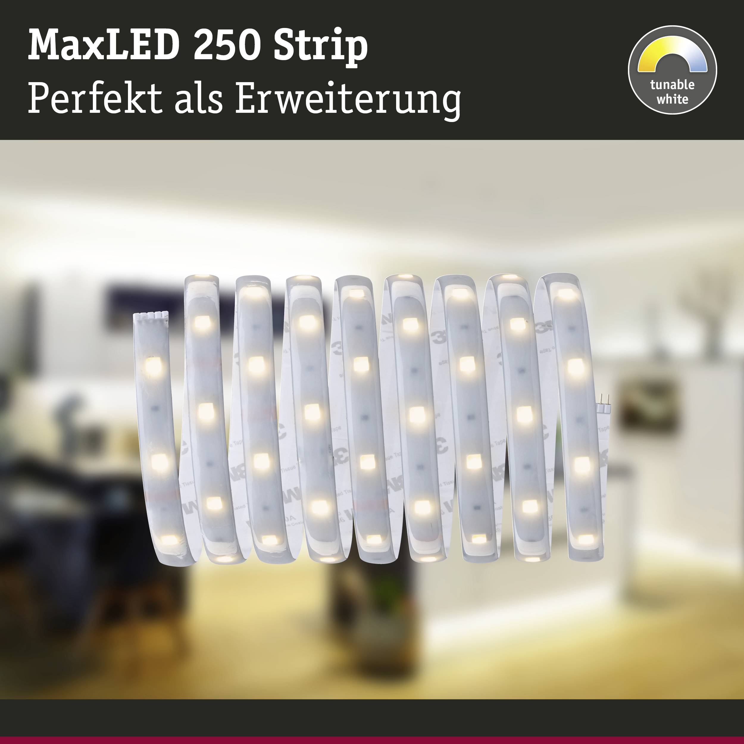 Striscia LED MaxLED 250 con tonalità di bianco variabile. Sullo sfondo un ambiente domestico sfocato.