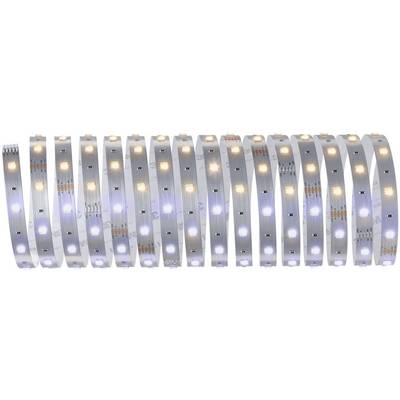 Strisce LED con luci alternate bianco caldo e bianco freddo, disposte in un pattern, su un sottofondo riflettente.