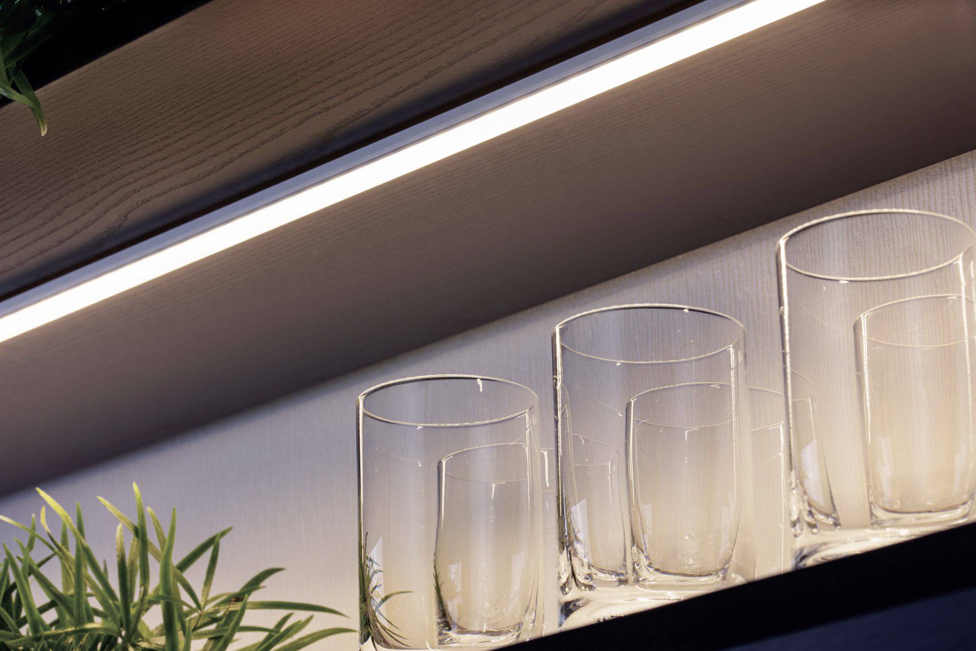 Bicchieri sono posizionati su uno scaffale, accanto a piante verdi. In alto, una striscia LED illumina e sottolinea l'arredamento minimale.