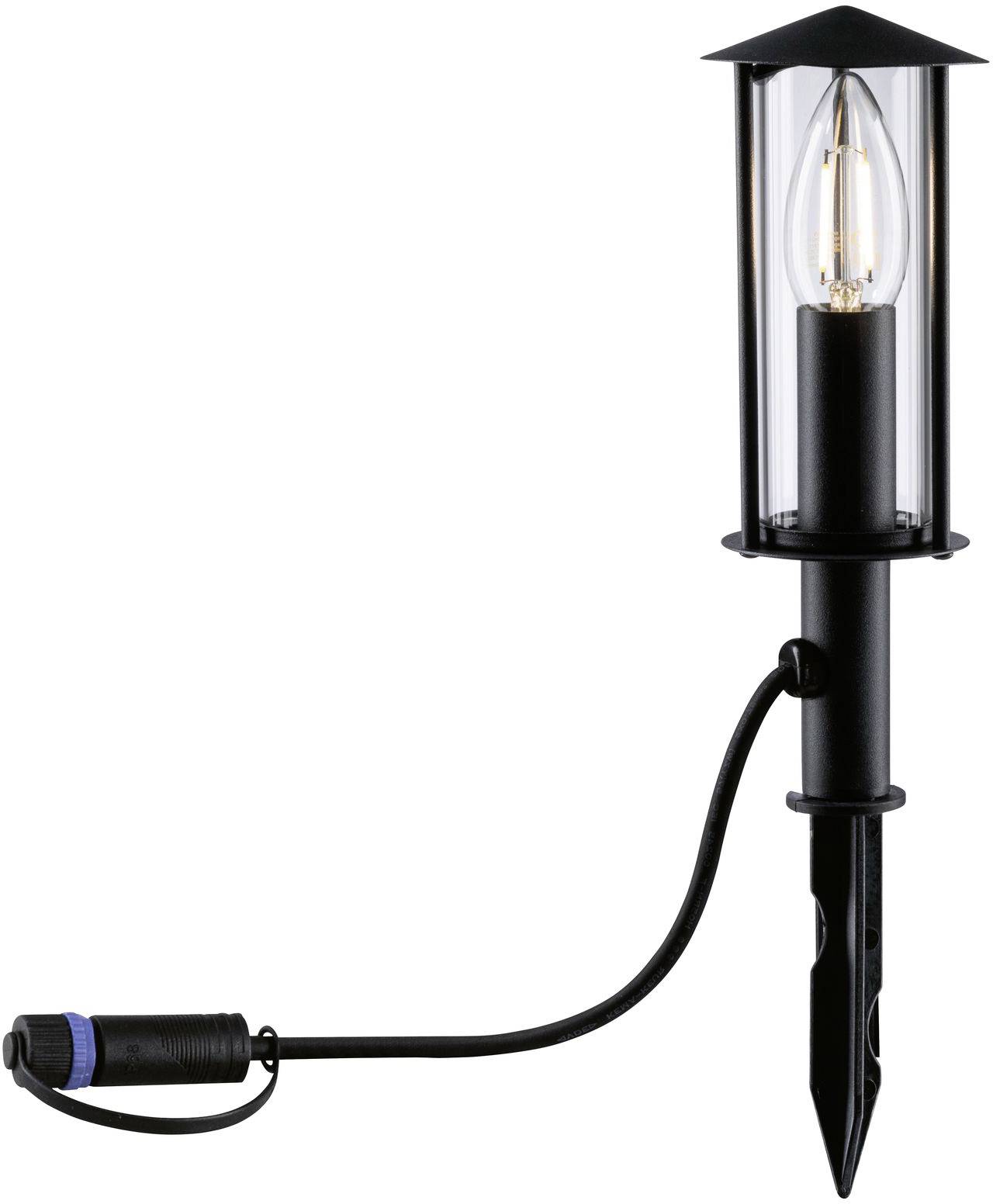 Una lampada esterna nera con vetro trasparente e filamento della lampadina visibile, montata su un picchetto per terra con cavo e spina blu.