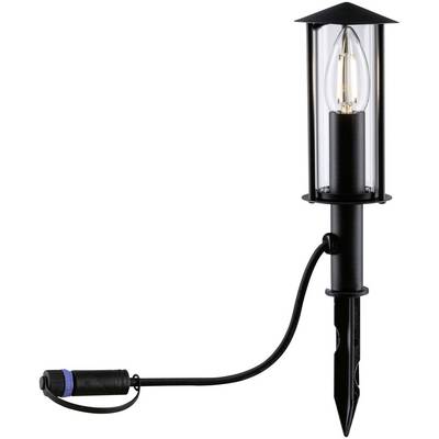 Una lampada esterna nera con vetro trasparente e filamento della lampadina visibile, montata su un picchetto per terra con cavo e spina blu.