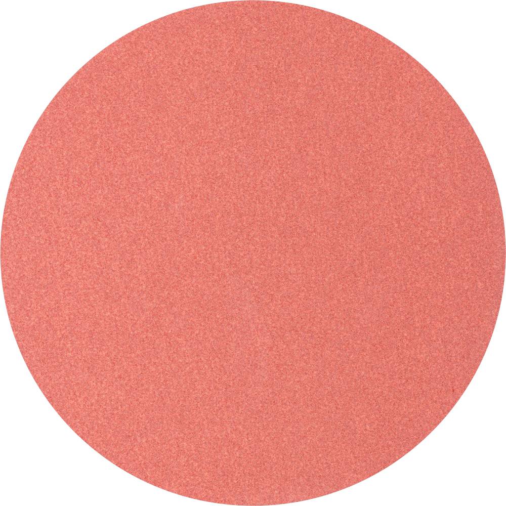 Un semplice cerchio rosso su sfondo bianco.