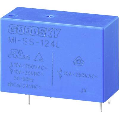 Interruttore relè elettronico blu con la scritta 'GOODSKY MI-SS-124L', specifiche per tensione e corrente elettrica.