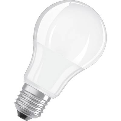 Una lampadina LED bianca mostra il portalampada in basso e il cappuccio curvo e trasparente.