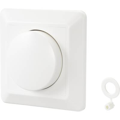 Un interruttore a luce rotante bianco con maniglia tonda, montato su una piastra rettangolare. Accanto a destra, un piccolo accessorio a forma di chiave bianco.