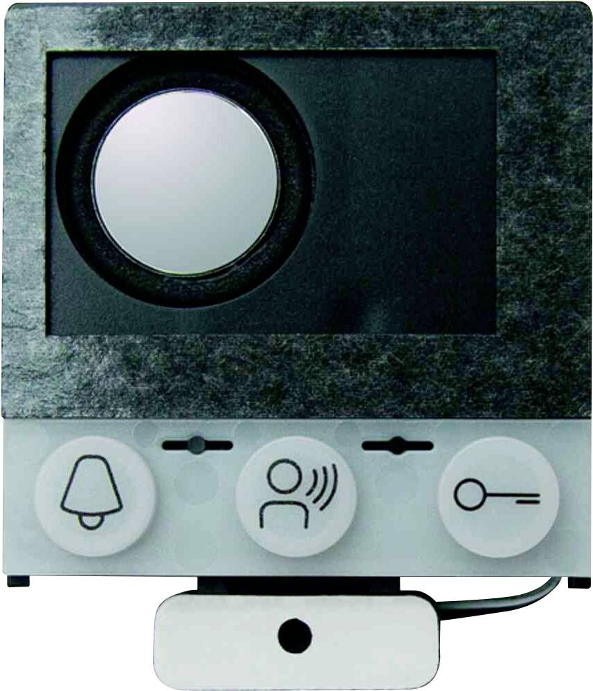 Campanello con telecamera e tre pulsanti: simbolo del campanello, simbolo del parlare e simbolo della chiave.