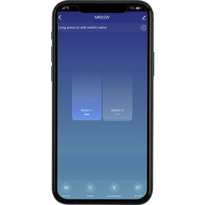 Schermo dello smartphone che mostra un'app per il controllo degli interruttori con le opzioni 'Interruttore 1' e 'Interruttore 2'.