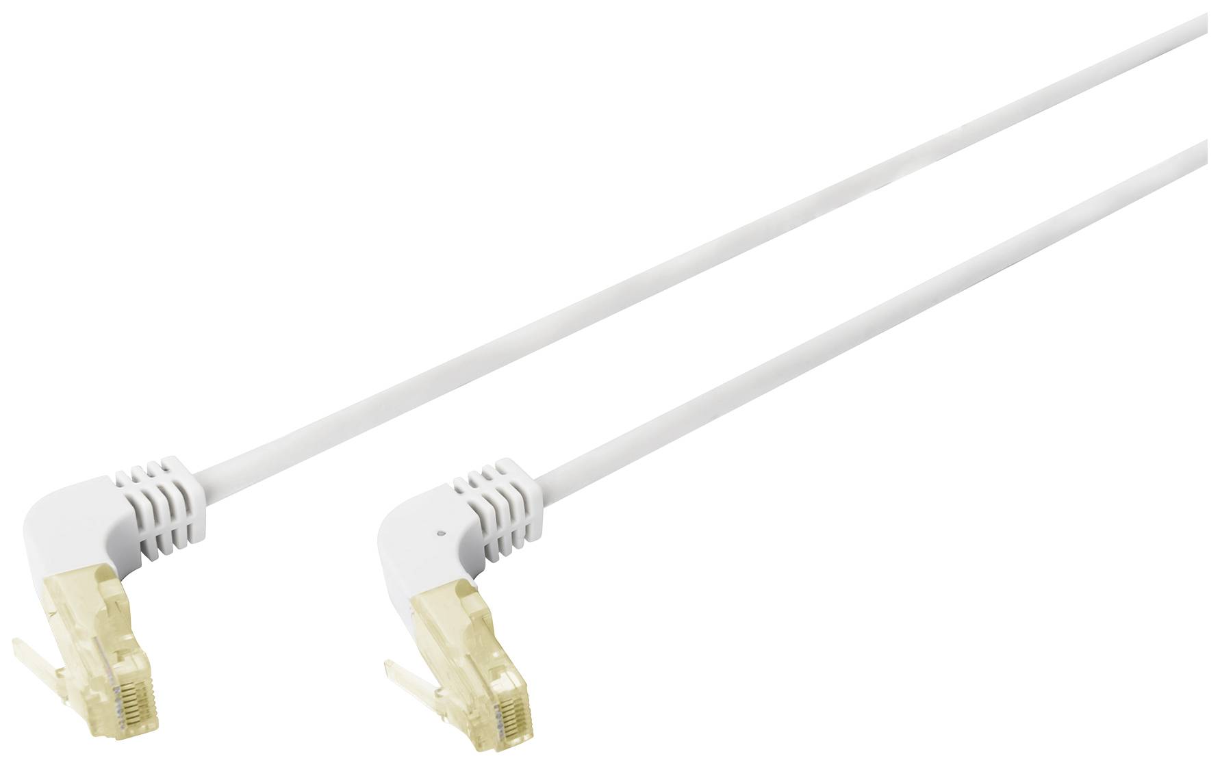 Due cavi Ethernet bianchi con connettori dorati ad angolo sono posizionati parallelamente uno accanto all'altro.