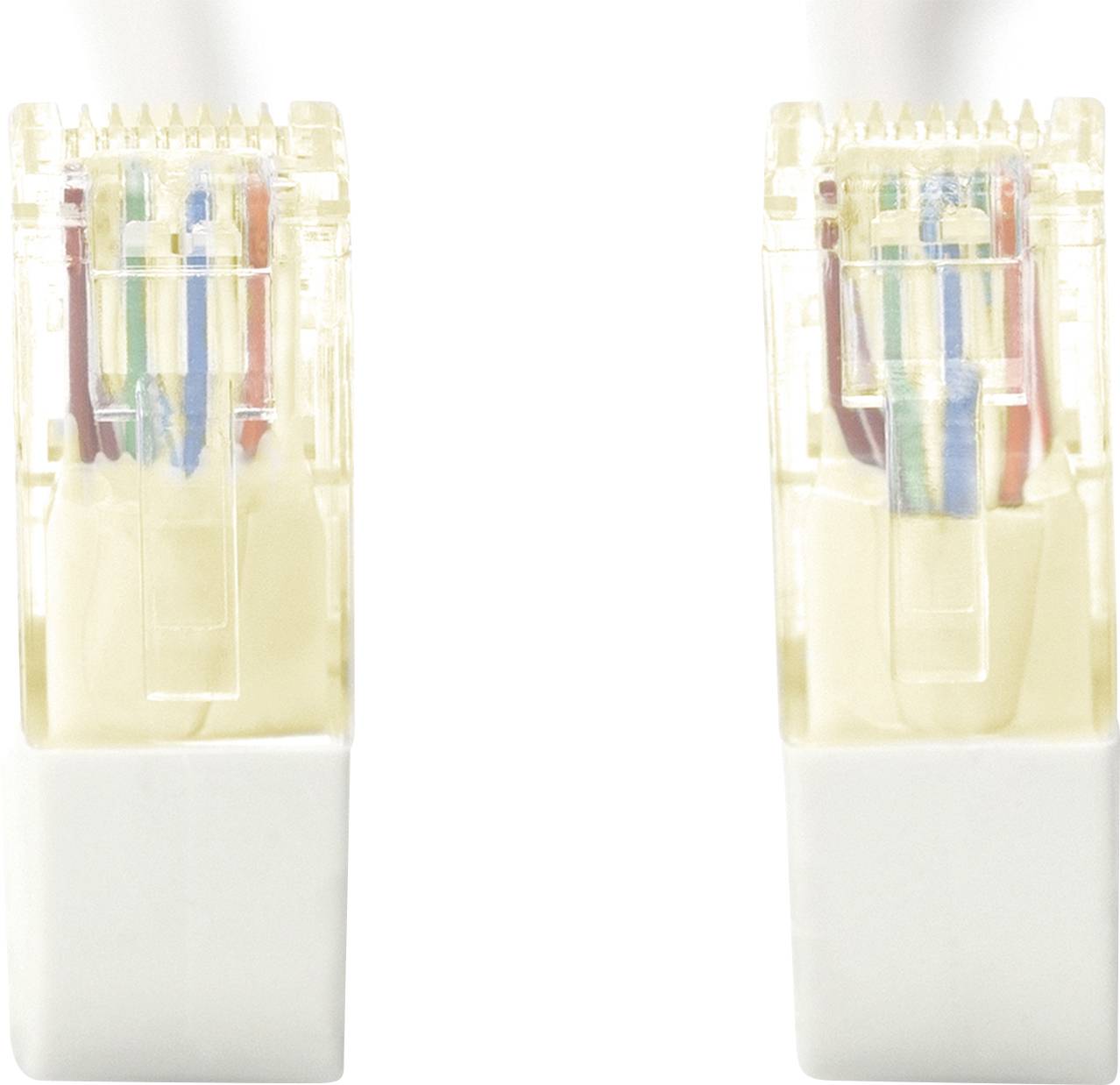 Due connettori Ethernet con involucri in plastica trasparente mostrano i fili colorati dei cavi.