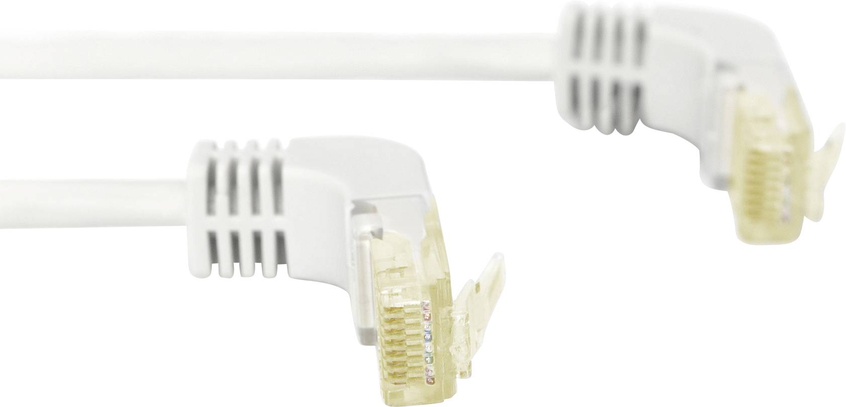 Due cavi Ethernet bianchi con estremità piegate e connettori trasparenti, utilizzati per collegare dispositivi elettronici.