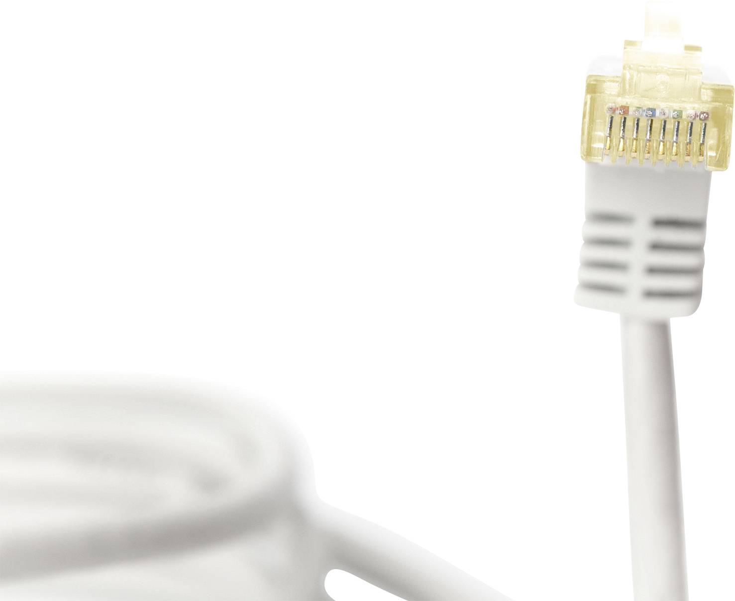 Primo piano di un cavo Ethernet con connettore giallo, sullo sfondo sfocato. Principalmente utilizzato per connessioni di rete.