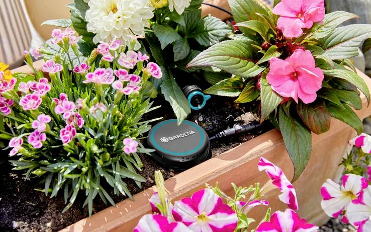 Un vaso rettangolare per fiori riempito con fiori rosa, bianchi e magenta in piena fioritura. Un dispositivo da giardinaggio è posizionato tra le piante.