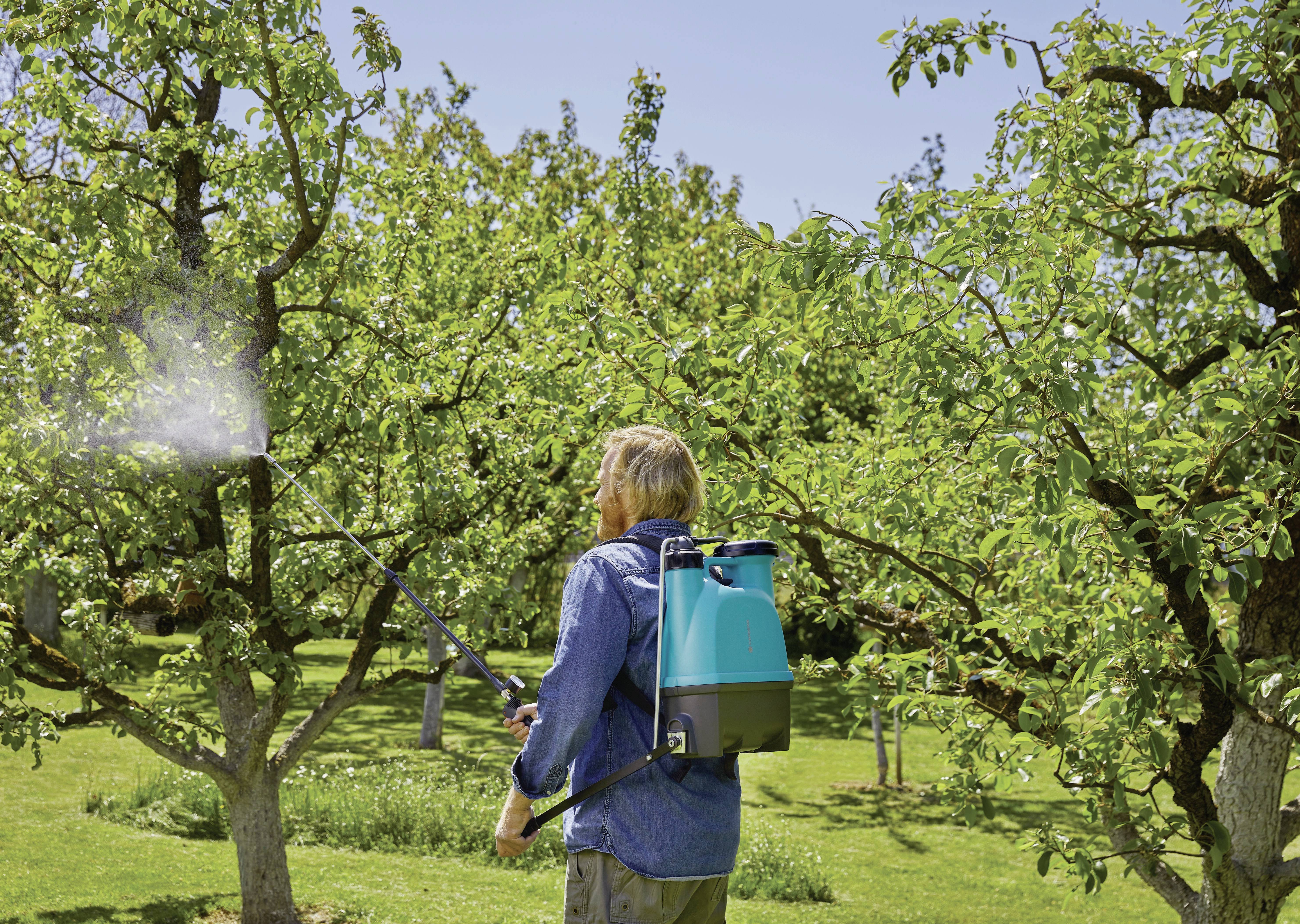 Una persona sta spruzzando alberi in un frutteto utilizzando un dispositivo con uno zaino blu.