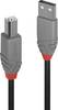 LINDY Cavo USB USB 2.0 Spina USB-A, Spina USB-B 3.00 m Nero 36674