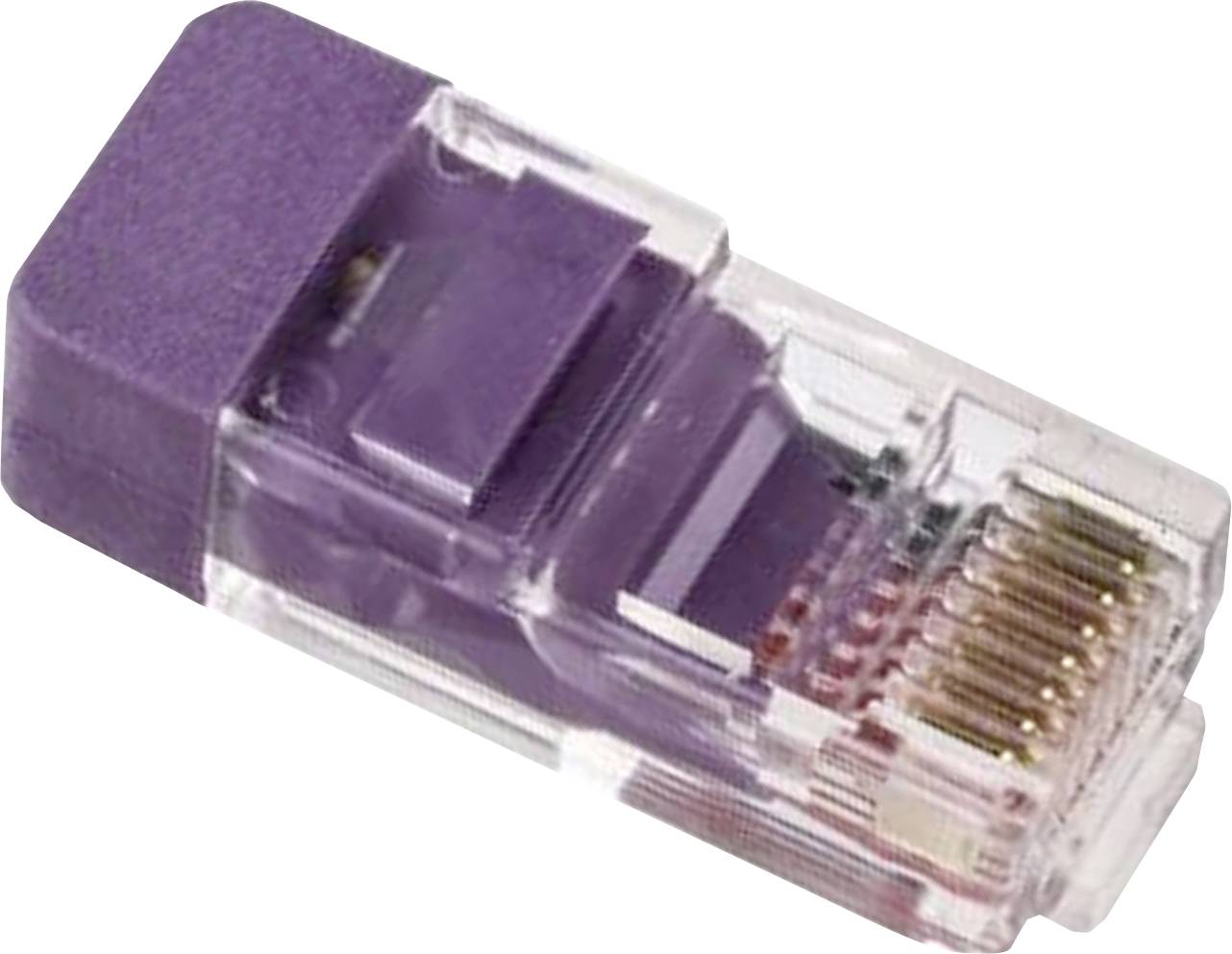 Un connettore Ethernet viola con involucro trasparente mostra chiaramente i cavi e i connettori interni.