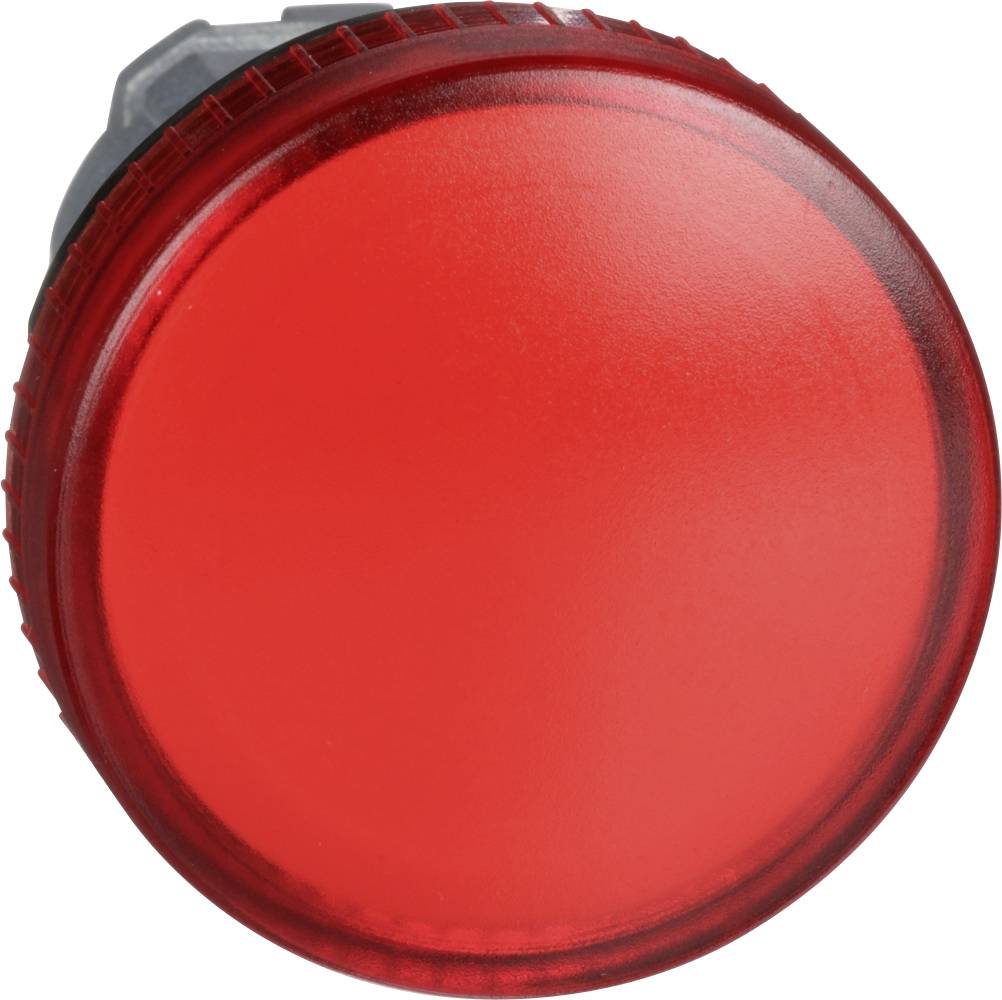 Bottone rotondo rosso, in risalto su sfondo bianco.