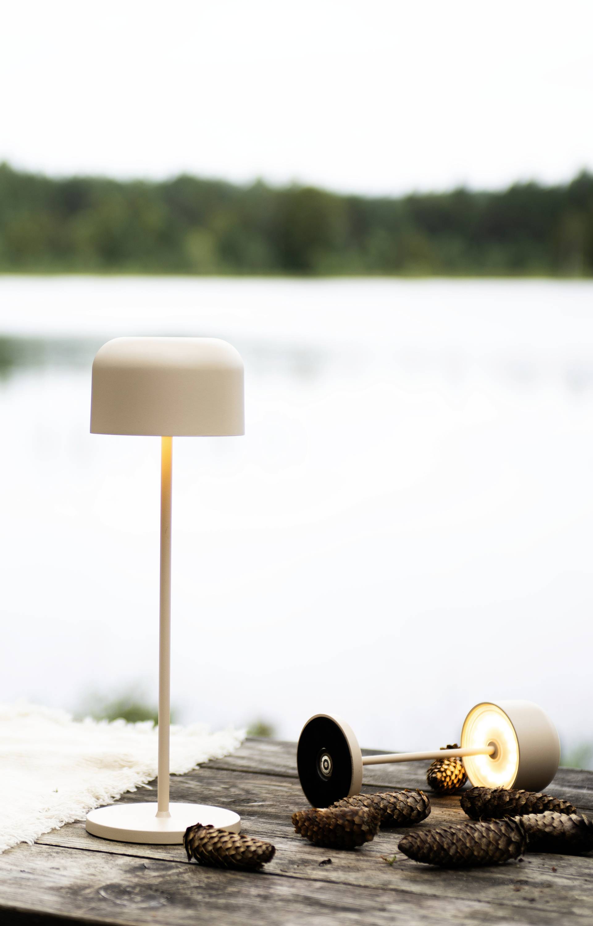 Una lampada moderna illumina un tavolo di legno sulla riva del lago. Accanto ci sono delle pigne e un'altra lampada. Sullo sfondo si vedono acqua e foresta.
