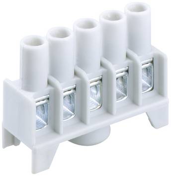Spelsberg 84000401    Grigio   41 A    1 pz.