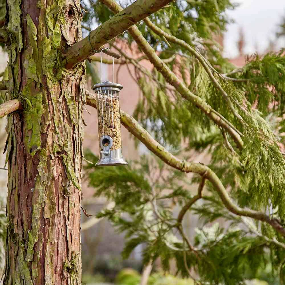 Distributore di mangime per uccelli appeso a un albero, riempito di semi. Sullo sfondo rami e edifici sfocati visibili.