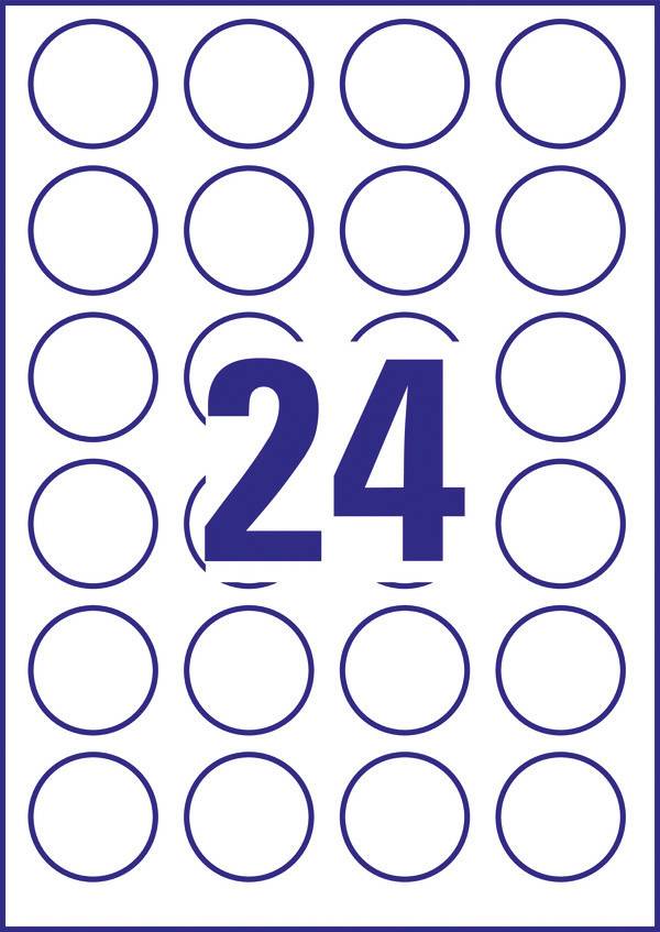 Numero '24' al centro, circondato da cerchi in un pattern 4x6, tutti su sfondo bianco.