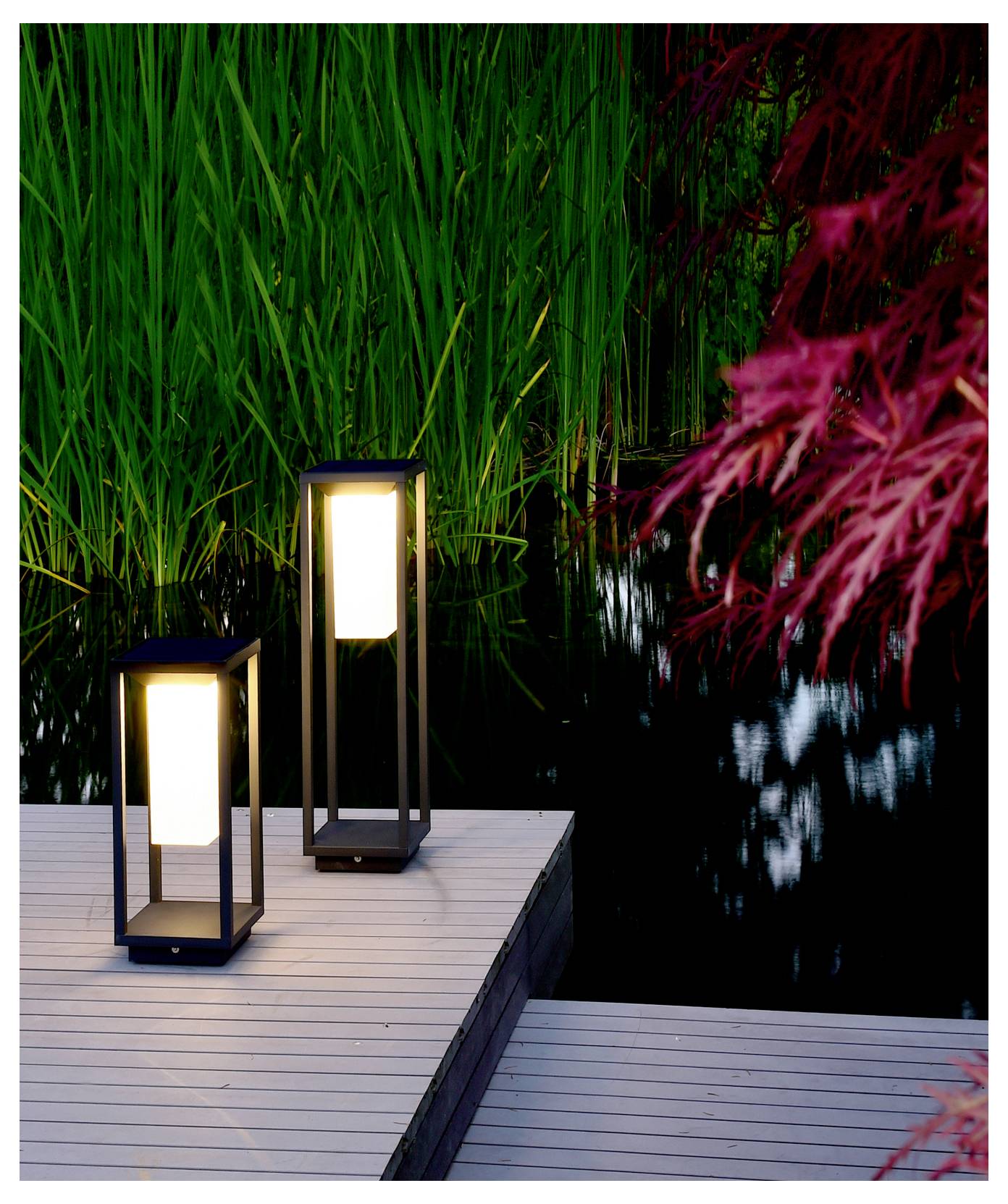 Due lanterne da esterno luminose su un pontile di legno accanto a uno stagno scuro, con alte canne verdi e fogliame rosso sullo sfondo.