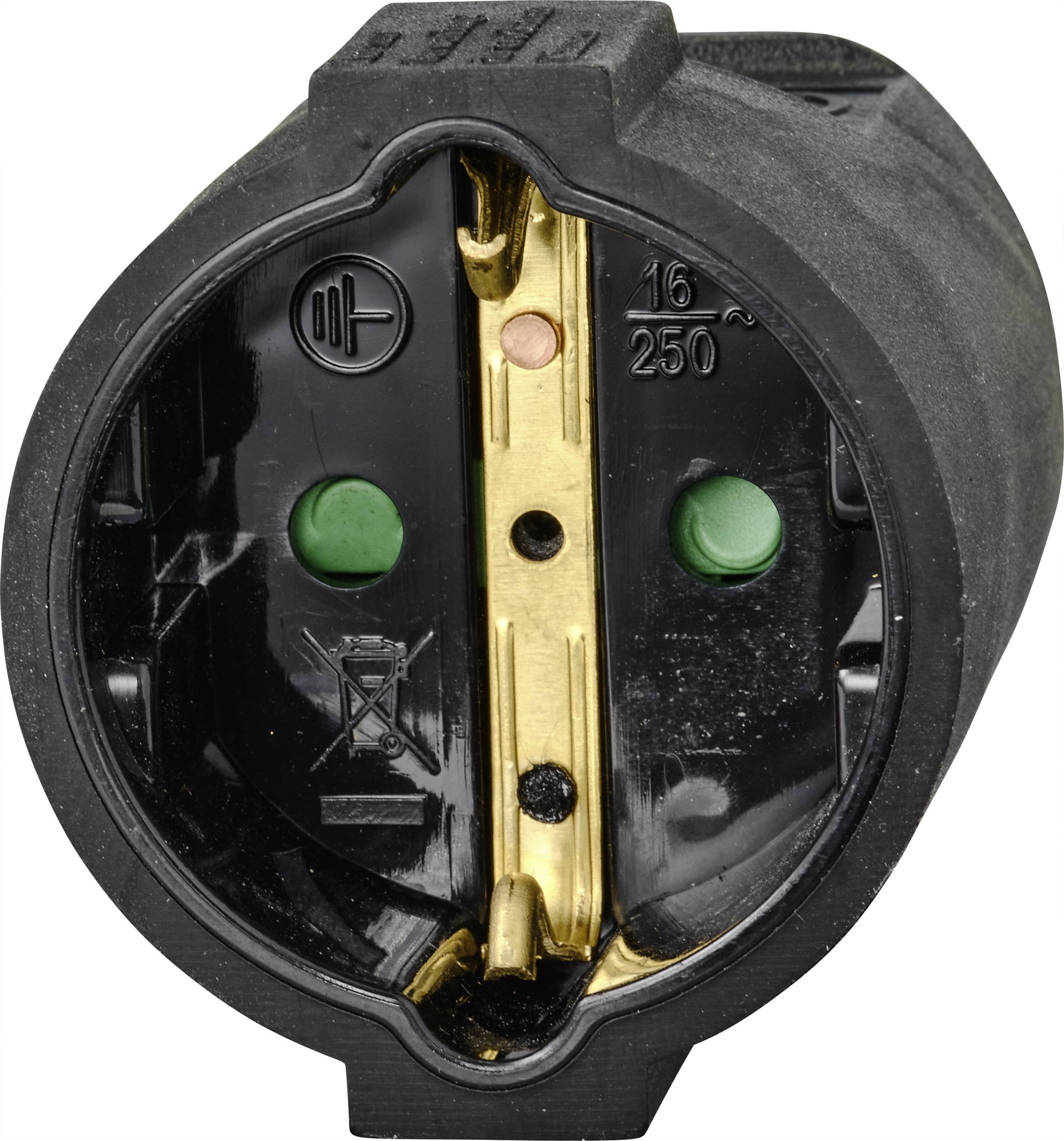 Primo piano di una presa elettrica nera con contatti metallici color oro, contrassegnata con '16A' e '250V'.