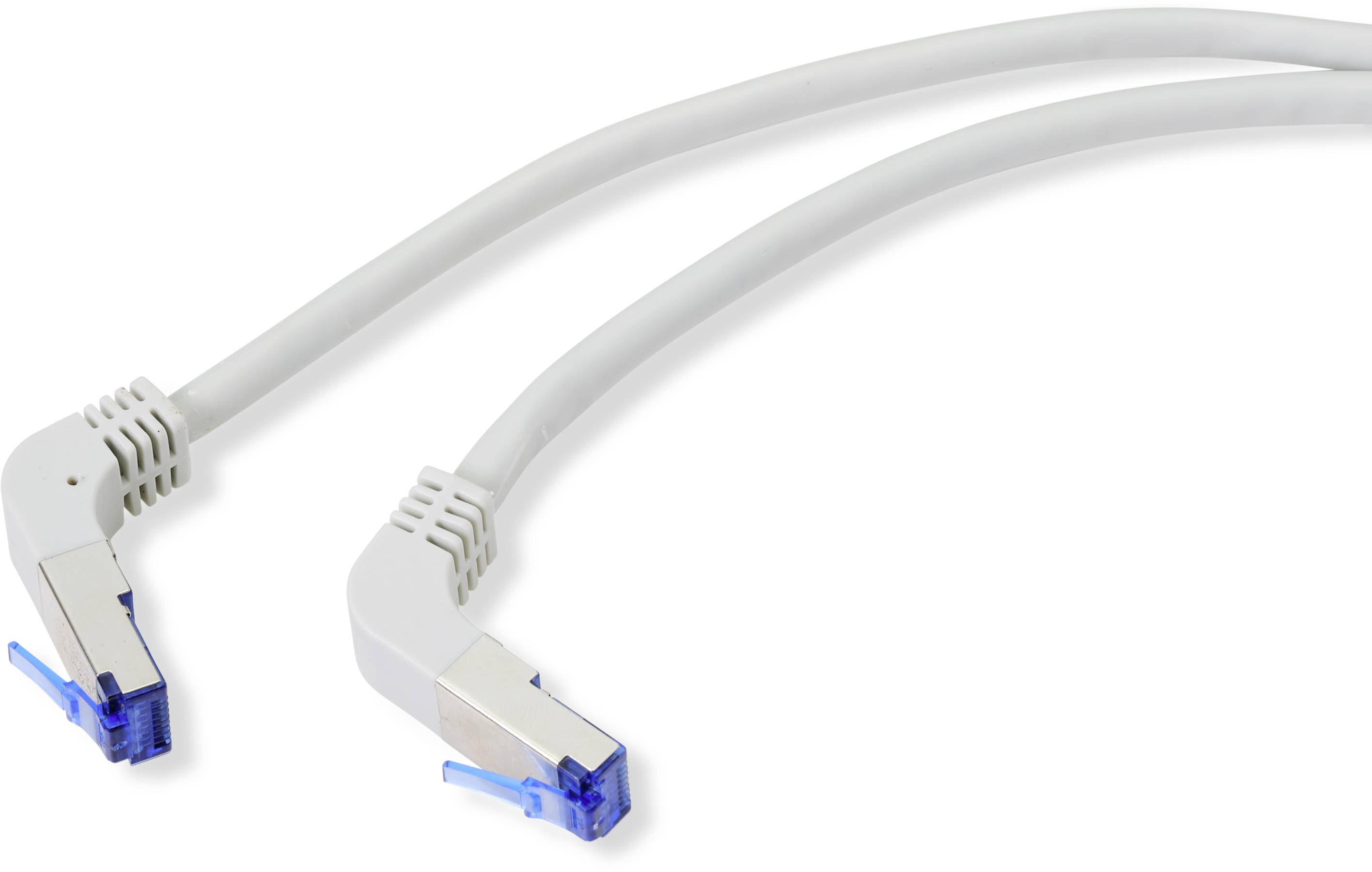 Due cavi Ethernet bianchi con connettori blu sono posizionati uno accanto all'altro. Sono piegati e hanno spine di connessione schermate.