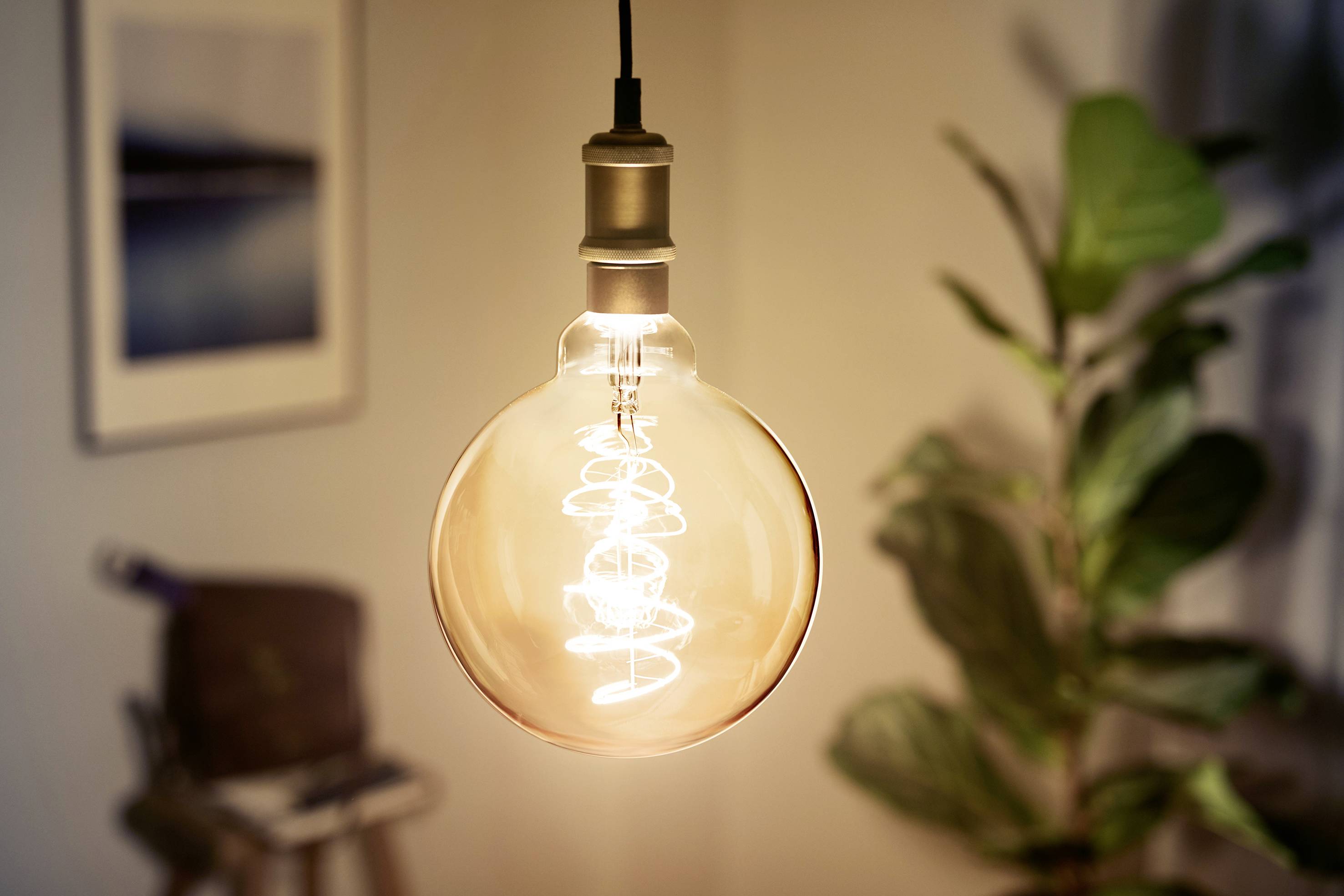 Una lampadina sospesa illumina la stanza. Sullo sfondo si intravede un'immagine sfocata appesa al muro e una pianta verde.