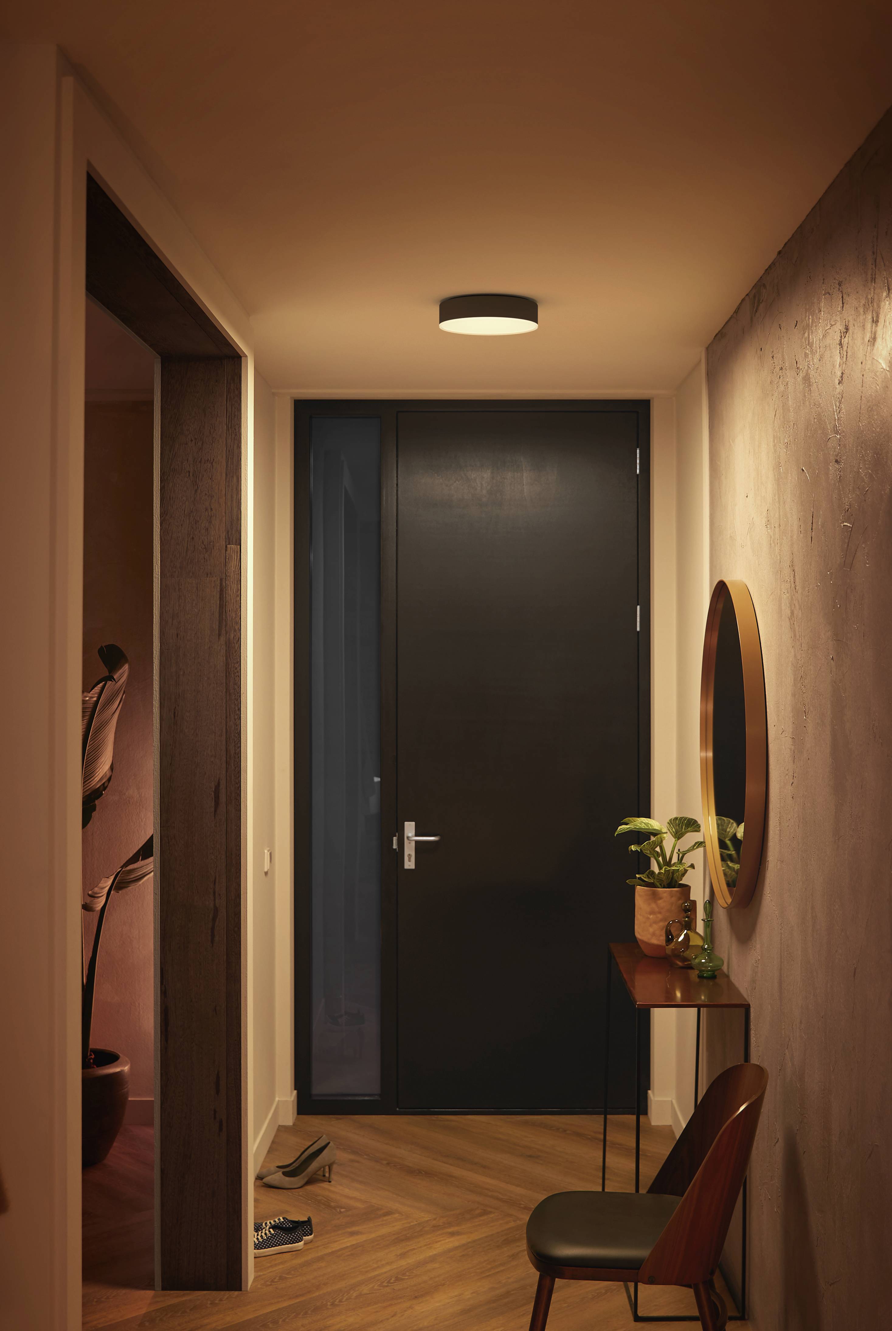 Un corridoio stretto con una porta scura in fondo, illuminato da una lampada a soffitto. A destra, un tavolo con una pianta e uno specchio appeso sopra.