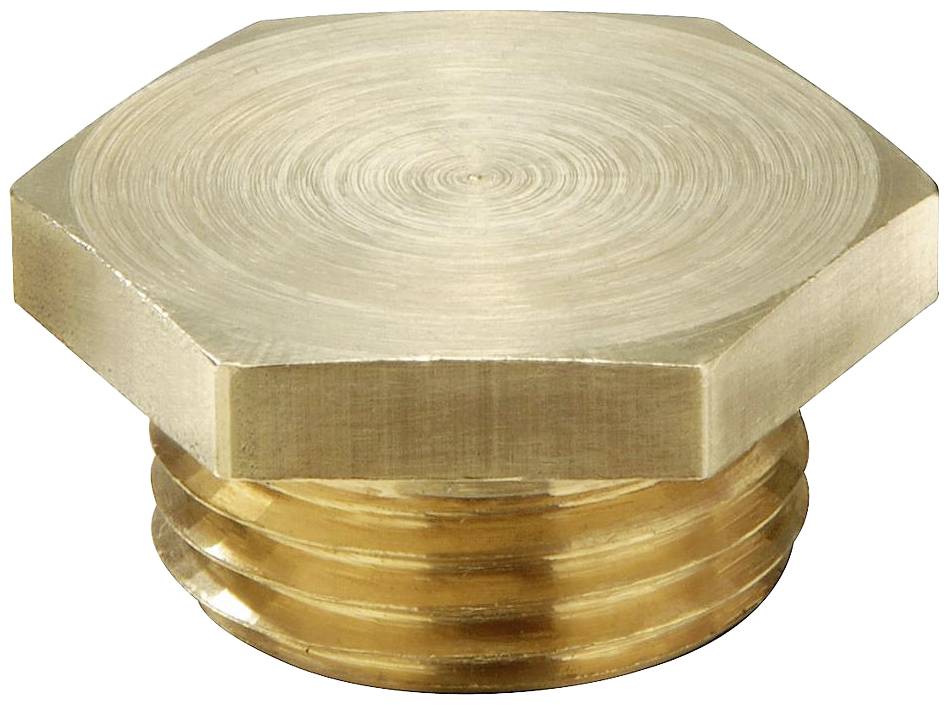 'Tappo di chiusura esagonale in ottone' mostra un tappo metallico dorato con forma esagonale e filettatura, utilizzato per chiudere tubi.