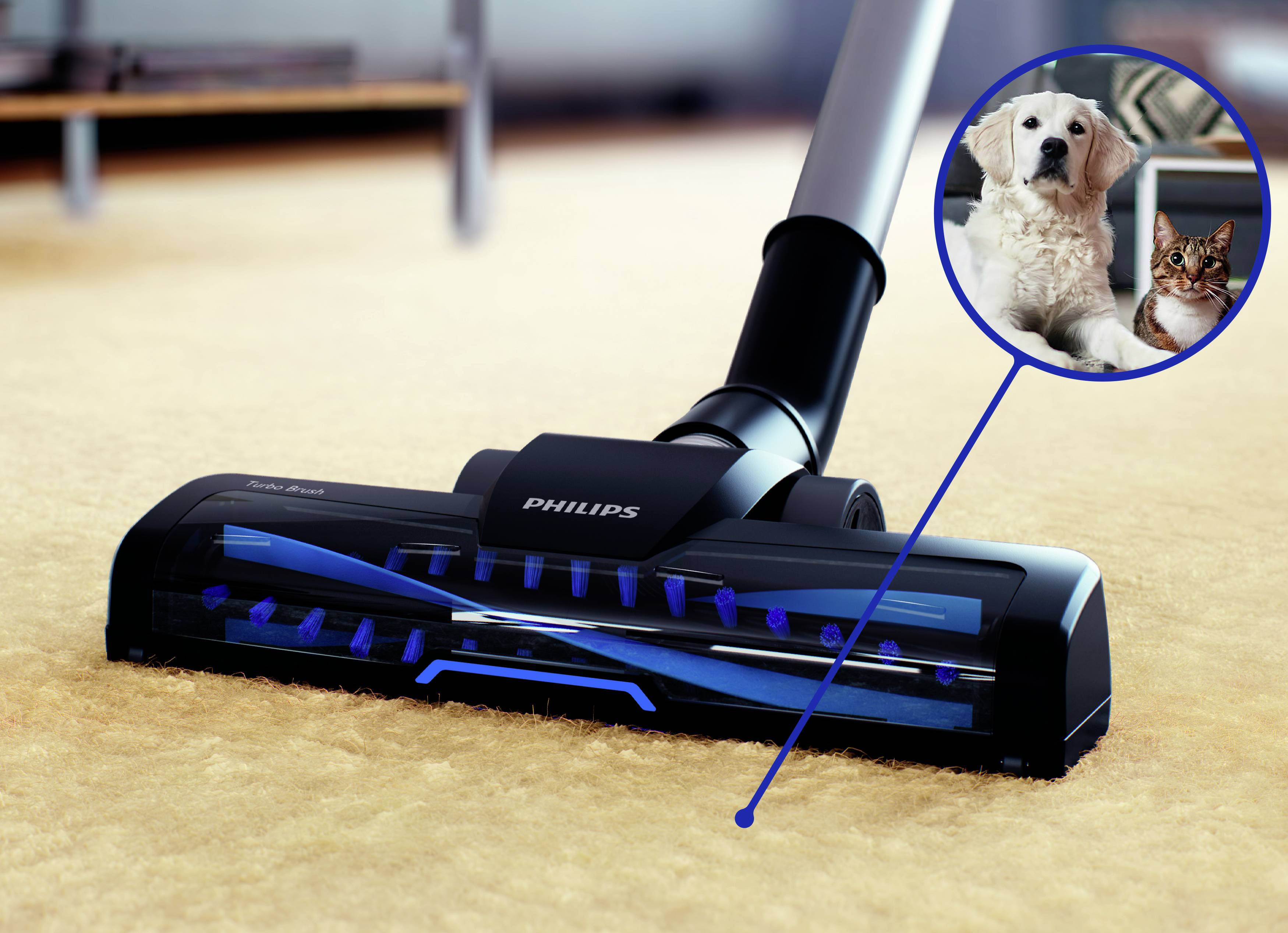Testata dell'aspirapolvere su un tappeto con ingrandimento di un cane e un gatto in un cerchio che mostrano che l'apparecchio è adatto per rimuovere i peli degli animali.