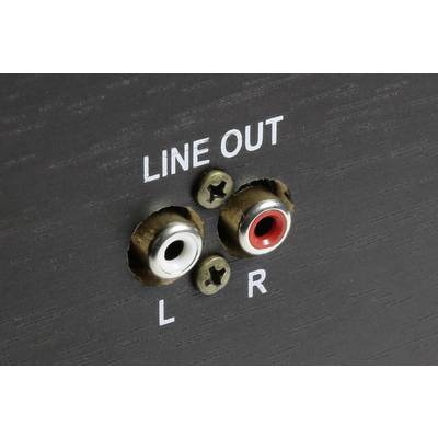 Retro di un dispositivo audio nero con due uscite Cinch per 'Line Out', contrassegnate con 'L' per il canale sinistro (bianco) e 'R' per il canale destro (rosso).