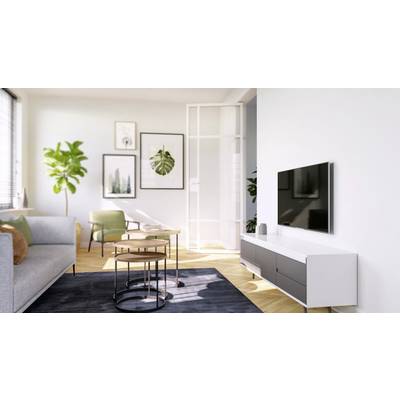Soggiorno luminoso con divano grigio, tavolo rotondo, poltrona verde e grande televisore su una credenza bianca, decorato con piante e quadri.